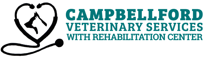 Campbellford Veterinary Services